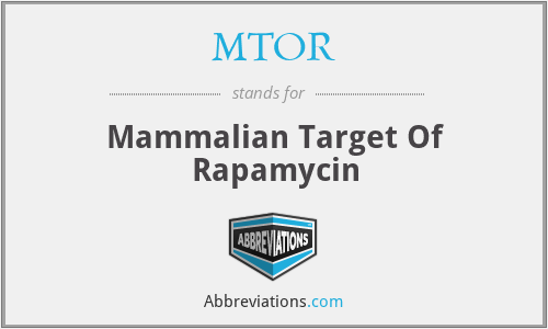 MTOR - Mammalian Target Of Rapamycin