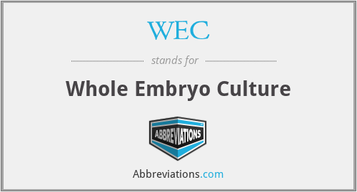 WEC - Whole Embryo Culture