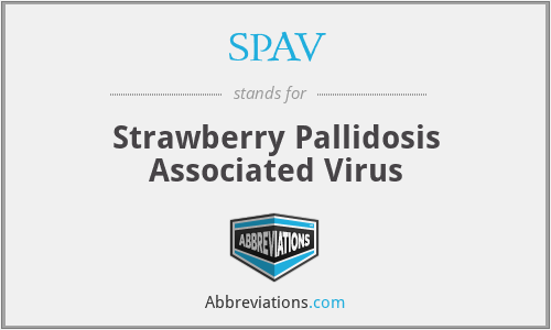 SPAV - Strawberry Pallidosis Associated Virus