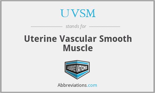 UVSM - Uterine Vascular Smooth Muscle