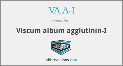 VAA-I - Viscum album agglutinin-I