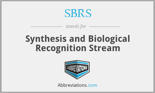 SBRS - Synthesis and Biological Recognition Stream