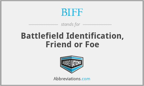 BIFF - Battlefield Identification, Friend or Foe