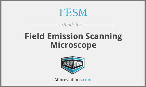 FESM - Field Emission Scanning Microscope