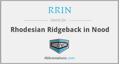 RRIN - Rhodesian Ridgeback in Nood