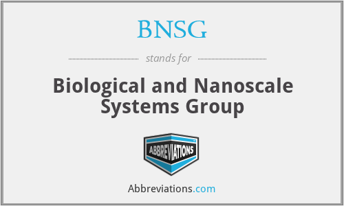 BNSG - Biological and Nanoscale Systems Group