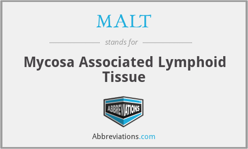 MALT - Mycosa Associated Lymphoid Tissue
