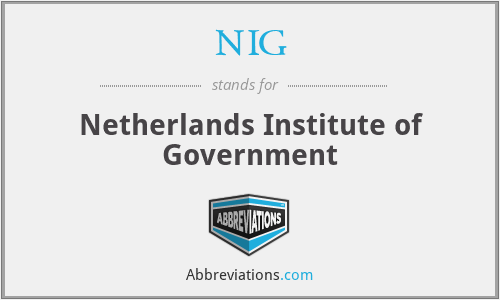 NIG - Netherlands Institute of Government
