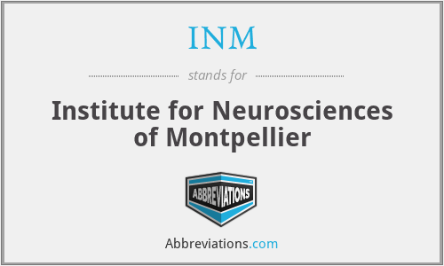 INM - Institute for Neurosciences of Montpellier