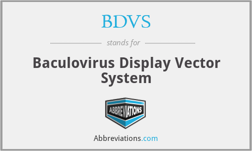 BDVS - Baculovirus Display Vector System