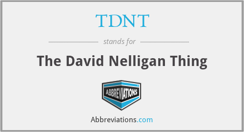 TDNT - The David Nelligan Thing