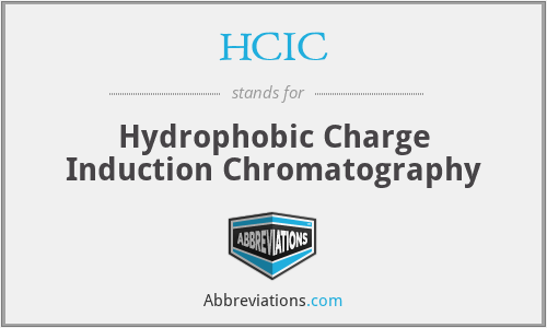 HCIC - Hydrophobic Charge Induction Chromatography