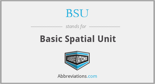 BSU - Basic Spatial Unit