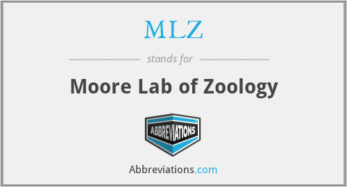 MLZ - Moore Lab of Zoology