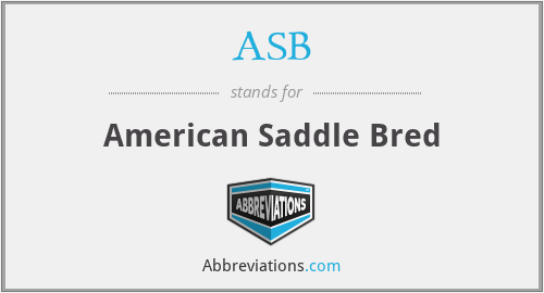 ASB - American Saddle Bred