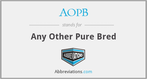 AOPB - Any Other Pure Bred