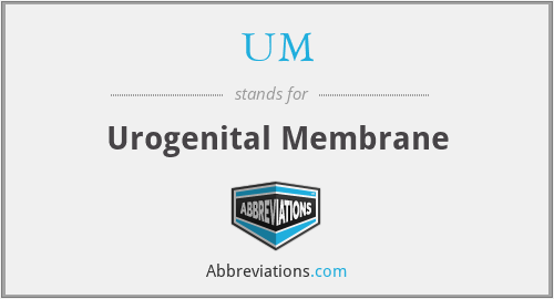 UM - Urogenital Membrane