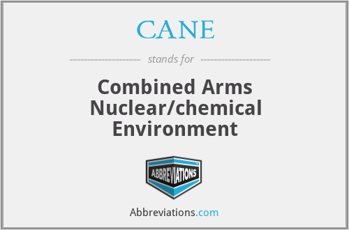 CANE - Combined Arms Nuclear/chemical Environment
