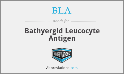 BLA - Bathyergid Leucocyte Antigen