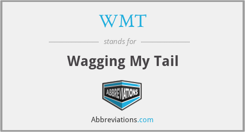 WMT - Wagging My Tail