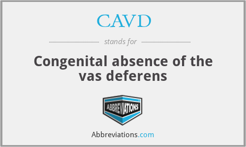 CAVD - Congenital absence of the vas deferens