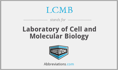 LCMB - Laboratory of Cell and Molecular Biology