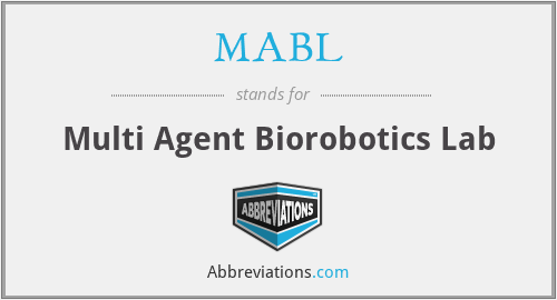 MABL - Multi Agent Biorobotics Lab