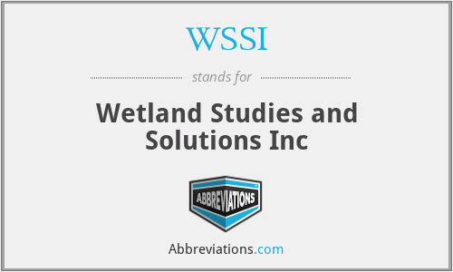 WSSI - Wetland Studies and Solutions Inc