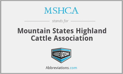 MSHCA - Mountain States Highland Cattle Association