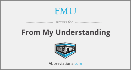 FMU - From My Understanding