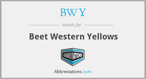 BWY - Beet Western Yellows