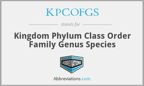 KPCOFGS - Kingdom Phylum Class Order Family Genus Species