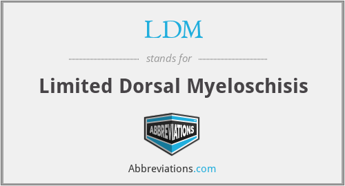 LDM - Limited Dorsal Myeloschisis