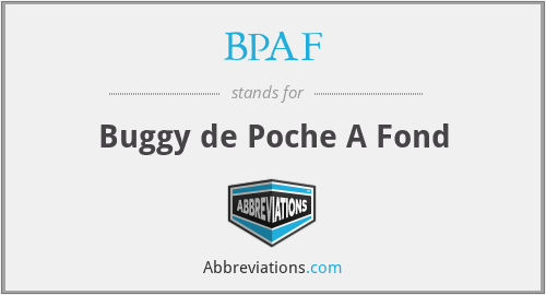 BPAF - Buggy de Poche A Fond