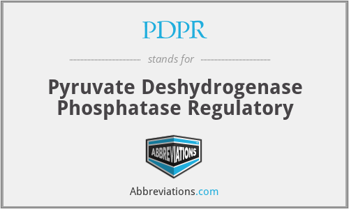 PDPR - Pyruvate Deshydrogenase Phosphatase Regulatory