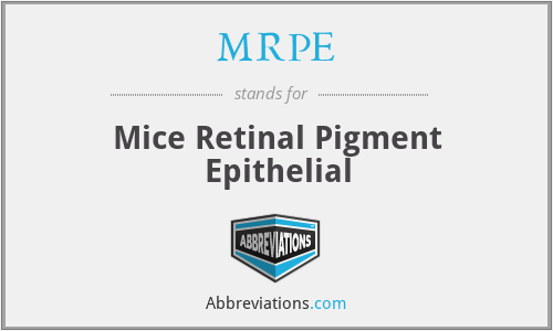 MRPE - Mice Retinal Pigment Epithelial