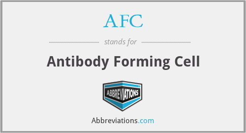 AFC - Antibody Forming Cell