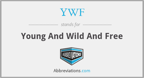YWF - Young And Wild And Free