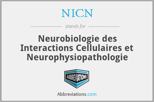 NICN - Neurobiologie des Interactions Cellulaires et Neurophysiopathologie