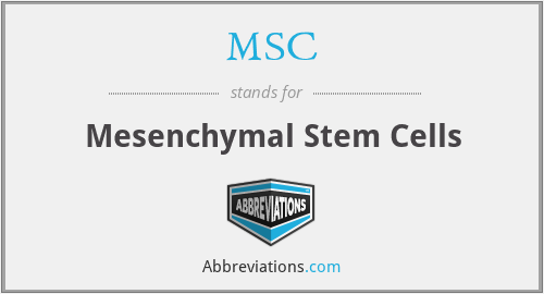 MSC - Mesenchymal Stem Cells