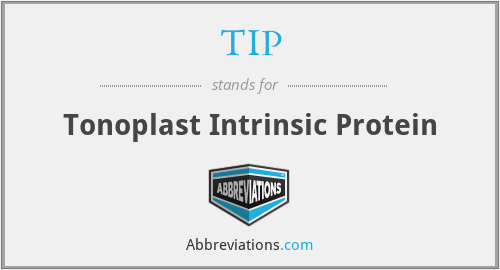 TIP - Tonoplast Intrinsic Protein