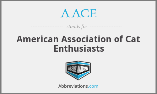 AACE - American Association of Cat Enthusiasts