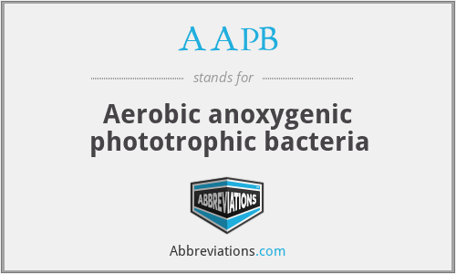 AAPB - Aerobic anoxygenic phototrophic bacteria