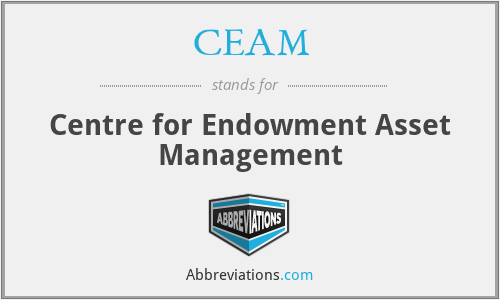 CEAM - Centre for Endowment Asset Management
