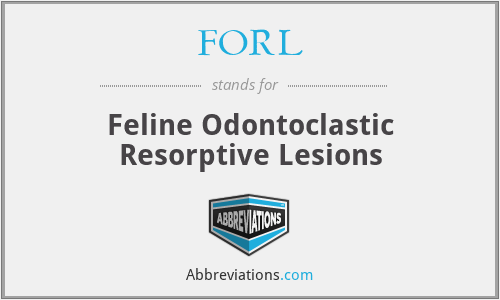 FORL - Feline Odontoclastic Resorptive Lesions