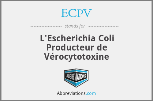 ECPV - L'Escherichia Coli Producteur de Vérocytotoxine