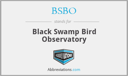 BSBO - Black Swamp Bird Observatory