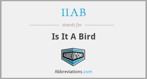 IIAB - Is It A Bird