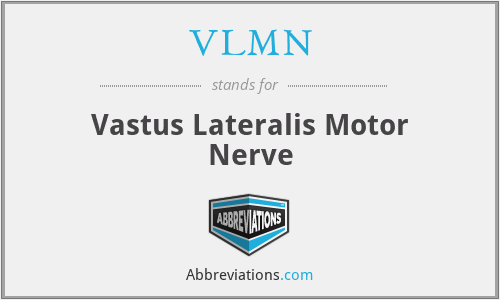 VLMN - Vastus Lateralis Motor Nerve