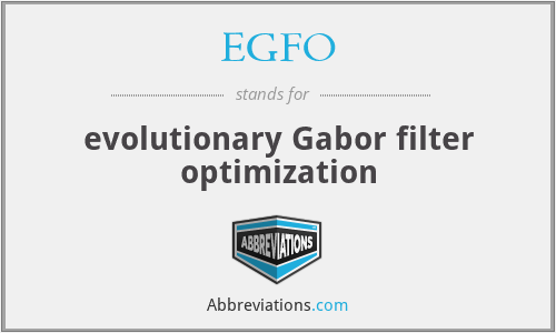 EGFO - evolutionary Gabor filter optimization